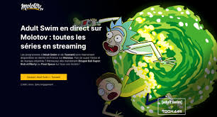 Vérifiez que vous êtes bien sur le bon site avant de télécharger, faites attention des sites escroc adresse: Rick And Morty Comment Regarder La Saison 4 En France