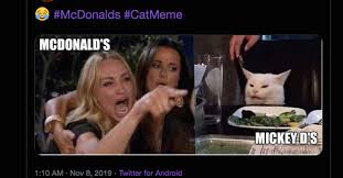 These White Cat Memes Are Peak Internet Humor Tbh Details