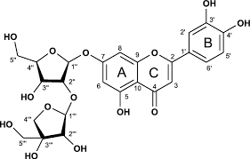 Image result for Sclerochiton vogelii