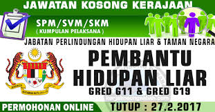 Peluang kerjaya dan kerja kosong di pejabat setiausaha kerajaan negeri sembilan sebagai penolong pegawai perancang bandar dan desa. Jawatan Kosong Perhilitan Pembantu Hidupan Liar Gred G11 G19 Jawatan Kosong Terkini Negeri Sabah