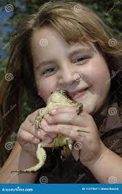 Toad Hopper Stock Photos