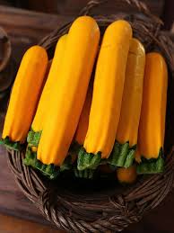 PHOTOS: New Brunswick company connects eateries with fresh fare