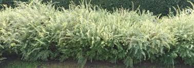 Image result for site:byggahus.se klippa