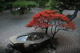 Simple And Beautiful Japanese Garden Landscape Small Japanese Garden Zen Garden Design