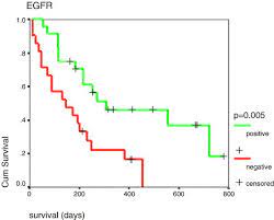 A higher tryptase mast cells count emerged as an independent favorable prognostic factor (p ϭ 0.02). Clinico Pathological And Biological Prognostic Factors In Pleural Malignant Mesothelioma Lung Cancer