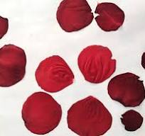 Pressed Rose Petal and Resin Serving Tray - Resin Crafts Blog