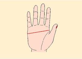 Là một trong những chòm sao sống có trách nhiệm, xử nữ vẫn chẳng thể rời tay khỏi công việc dù có là ngày nghỉ đi nữa. Nam Giá»›i Co Chá»‰ Tay Ngang Co Y NghÄ©a Gi