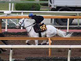 Copyright © 2021 カラオケうたてん all rights reserved. ã‚ªãƒ¼ã‚¯ã‚¹äºˆæƒ³ã‚ªãƒƒã‚º ã‚½ãƒ€ã‚·ãŒå˜å‹1 8å€ã§äºˆæƒ³1ç•ªäººæ°—ã« ç«¶é¦¬ãƒ‹ãƒ¥ãƒ¼ã‚¹ Netkeiba Com