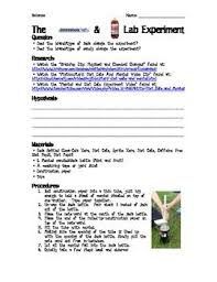 Chemical And Physical Changes Lab Mentos And Soda Lab Chemical And Physical Changes Science Science Experiments