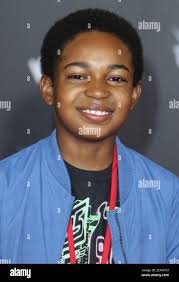 Actor Issac Ryan Brown at the World Premiere Of Disney-Pixar's "Cars 3"  held at the Anaheim Convention Center