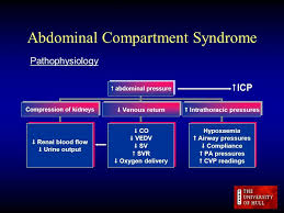 C B Accumulation Of Large Amount Of Fluid Normal Iap Nearly Zero When Iap 15 Cm Of Water Den These Compartment Syndrome Foley Catheter Icu Nursing