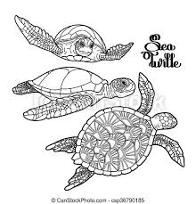 The hawksbill sea turtle (eretmochelys imbricata) is a sea turtle that is widely distributed in the indian, atlantic, and pacific oceans. Graphic Hawksbill Sea Turtle Collection Drawn In Line Art Style Ocean Vector Creatures Isolated On White Background Canstock