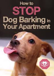How To Stop Dog Barking In Your Apartment Stop Dog Barking Dog Training Obedience Dogs