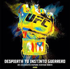 Logo and identity • movie logo design. 9 Ufc Ideas Ufc Mma Mma Fighters