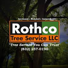 Located on the salinas river north of san luis obispo, california, the city is known for its hot springs, its abundance of wineries, its production of olive oil, almond orchards, and for playing host to the. Rothco Tree Service Woodlands Spring Conroe Magnolia Kingwood