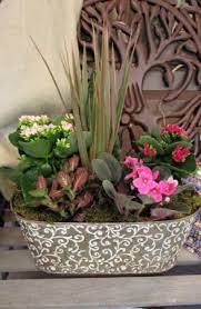 Check spelling or type a new query. Tropical Planter Plant In Alexandria On Town Country Flowers And Gifts