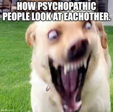 Crazy Dog Man Memes Imgflip