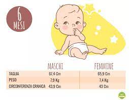 La dieta del bambino di nove mesi è ricca e varia. Il Tuo Bambino Di 6 Mesi Sviluppo Del Bambino Mese Dopo Mese