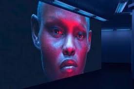 David Broner : Toute l'actualité