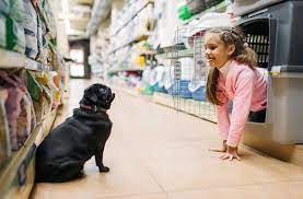 Visit your local brooklyn petsmart store for essential pet supplies like food, treats and more from top brands. These Are The Best Pet Stores In Nyc And Surrounding Areas Nymetroparents