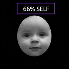 PDF) This is me! Neural correlates of self‐recognition in 6‐ to 8‐month‐old  infants