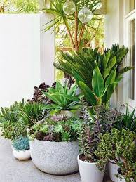 From large terracotta pots to wooden planters and small metal vessels for herbs, browse below for inspiration of how best to use outdoor plant stands. 5827eefe7bd7a4de17805d9303f63d69 Patio Plants Plants Outdoor Plants