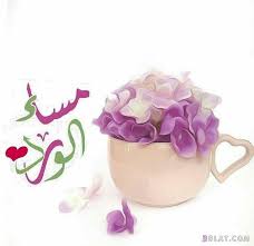صور مسائية جميلة بطاقات ادعية مسائية2020 صور مساء الخير2020 صور مساء مميزة Happy Birthday Pictures Good Evening Good Morning Good Night