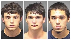 Three arrested following string of vehicle break-ins in Forest Oaks area of  Greensboro