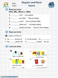Singular And Plural Noun Online Worksheet