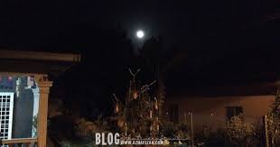 Nama pena adalah sebuah nama samaran yang diadopsi oleh seorang penulis. Bulan Penuh Blog Sihatimerahjambu