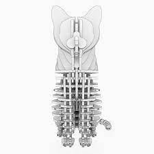 Maybe you would like to learn more about one of these? 3d Jigsaw Puzzle Cat1 3d Jigsaw Puzzles Jigsaw Puzzles Jigsaw