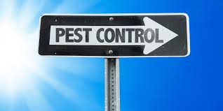Pest analysis is a strategy framework to evaluate the external environment of a business. Your First Pest Control Service Problem Solved Pest Control