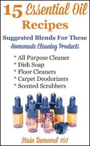 We did not find results for: Andrea Flores 6flowers Profile Pinterest