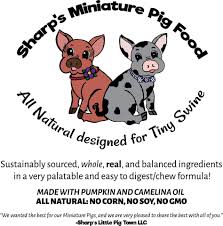 sizing and breeds charming mini pigs