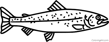 There are tons of great resources for free printable color pages online. Simple Rainbow Trout Coloring Page Coloringall