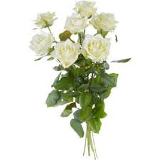 4.8/5.0 based on 5210 reviews. Thank You Flower Delivery Flower Delivery Geneve Online Florist Geneve