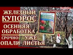опрыскивание деревьев весной по фазам от болезней и вредителей Sign In Organicheskoe Sadovodstvo Sadovodstvo Sadovye Gryadki