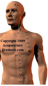 We did not find results for: Free Acupuncture Charts