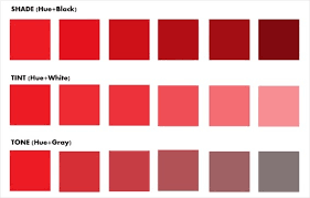 Guise or hue can be. What Is The Difference Between Tint And Shade In Color Quora