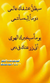 pin by اهل البيت عليهم السلام on روائع الحكمة neon signs poems qoutes