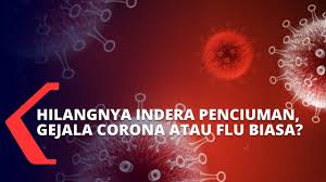 Mengembalikan kontak telepon yang hilang. Cara Membedakan Hilangnya Indera Penciuman Akibat Covid 19 Dan Flu Biasa Youtube