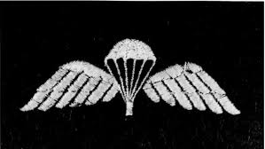 They are part of the regular army and lead the uk's most sensitive and dangerous security operations. Arnhem Jim The Original Brevet First Wings Of The Parachute Regiment