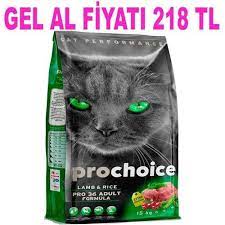 prochoice pro 36 kuzu ve pirincli kedi mamasi 15 kg 8681465601029 amazon pet center kedi bira mayasi amazonlar