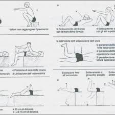 Esempio di allenamento tabata cardiovascolare abbinato agli allenamenti in sala pesi esercizio. Pdf Functional Training