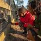 Noah's Ark Animal Sanctuary event image