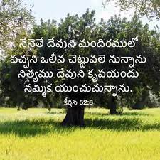 Holy Bible Verses Telugu – MP4 slides7 – Telugu Christian Gateway