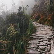 Beech Family Obituaries