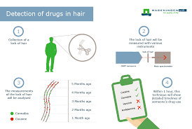 Most hair follicle tests can pick up substance use that has occurred over the past 90 days. Evidence Of Drug Use Detectable In Hair For Months Wur