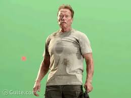 Arnie's a classic example of how dreams truly can come true… everything he has, has come … Arnold Schwarzenegger Grand Entry Into Tv With Netflix S Spy Drama