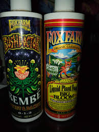 When Should I Start Using Bloom Nutes Going To Use Fox Farm Big Bloom Bembe Tiger Bloom Cha Ching And Maybe Big Bud Grow Question By Dillsnills Growdiaries